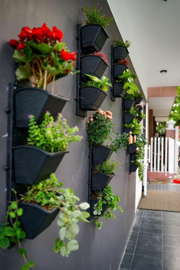 Local White House - Ecofriendly Homestay Da Nang Exterior photo